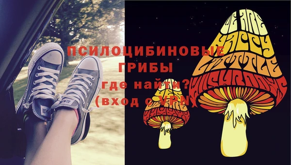 тгк Аркадак