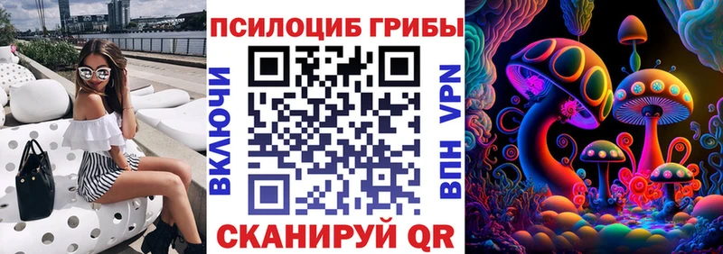 Галлюциногенные грибы Psilocybine cubensis  Мытищи 