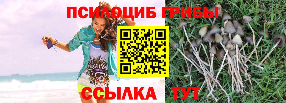 Галлюциногенные грибы Magic Shrooms  Вход с VPN  Мытищи 