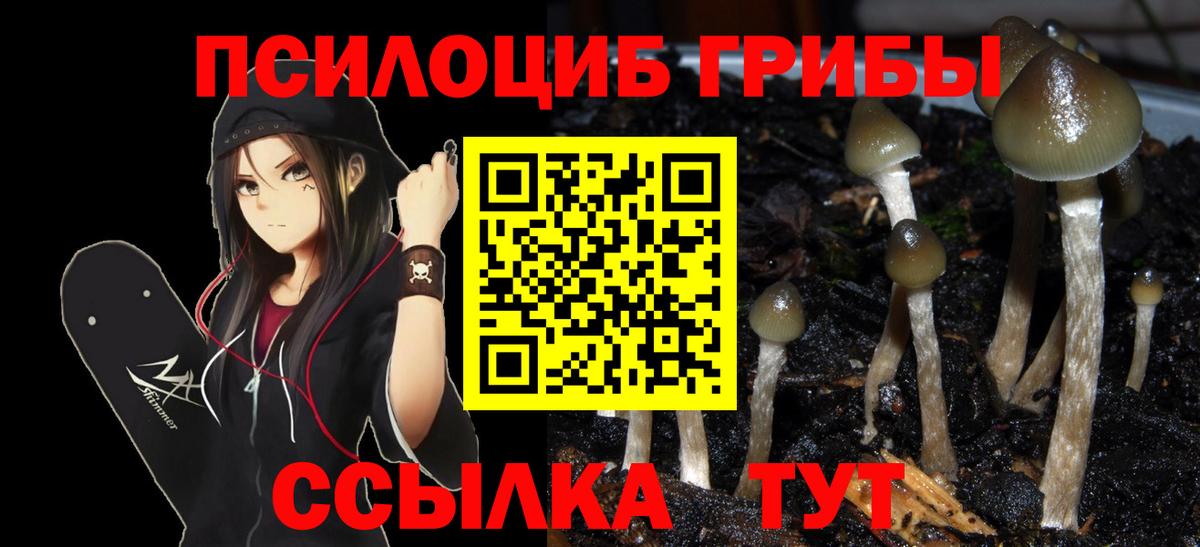 МЕФ   МЕТАМФЕТАМИН  ГАШИШ  Мытищи  ГАШИШ  Кокаин  Вход с VPN 
